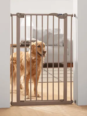 A golden retriever dog stands behind a pet gate in a doorway.