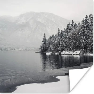 Produktbild von MuchoWow® Poster Wasser - Winter - Natur - Kiefernbaum 50x50 cm - Wohnzimmerdekoration