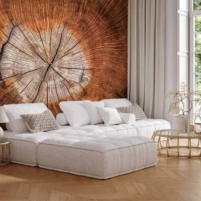 Produktbild von Vlies Fototapete - The Soul of a Tree 300x210 cm Muster b-B-0062-a-a