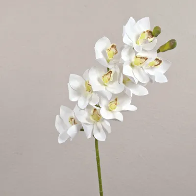 Produktbild von artplants.de Deko Zweig Cymbidium Orchidee LANAKILA, weiß, 75cm - Kunstblumen Orchideenzweig
