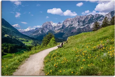 Produktbild von ARTland Leinwandbild Wanderweg bei Ramsau in Oberbayern Größe: 60x40 cm