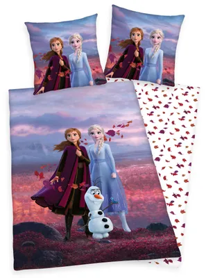 Produktbild von Disney Eiskönigin - Bettwäsche 135x200 80x80 cm - Renforcé Baumwolle Bunt