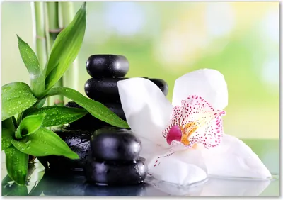 Produktbild von Tulup® Glas-Bild - 100 x 70 - Wandbild aus Glas - Wandkunst - Wandbild hinter gehärtetem Sicherheitsglas - Blumen & Pflanzen - Orchidee - Grün