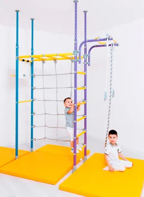 Image de Espalier pour enfants – Structure d'escalade d'intérieur en métal avec roues de gymnastique et barres de poussée – Pegas, violet
