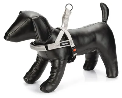 Produktbild von Karlie Art Sportiv Hundegeschirre, Nylon, Grau, 82-105x3 cm