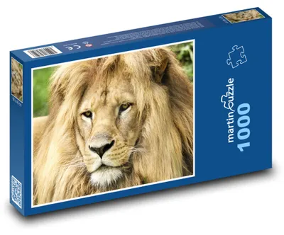 Zdjęcie produktu dla Puzzle 1000 Majestatyczny lew w przyrodzie - martinpuzzle