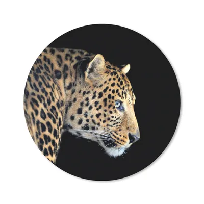 Produktbild von MuchoWow® Mauspad Mousepad Leopard - Tiere - Schwarz 40x40 cm - Mousepads - Maus Mat - Pad - Mausunterlage - Schreibtisch Accessoires