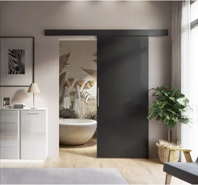 Produktbild von Schiebetür RICO Schwarz 106 cm Silbergriff