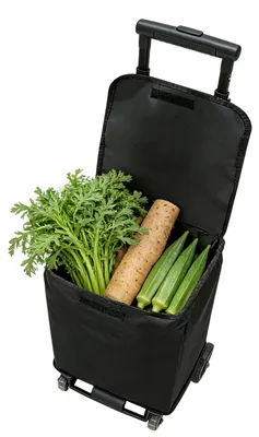 Zdjęcie produktu dla Składany wózek na zakupy na kółkach, o udźwigu 50 kg