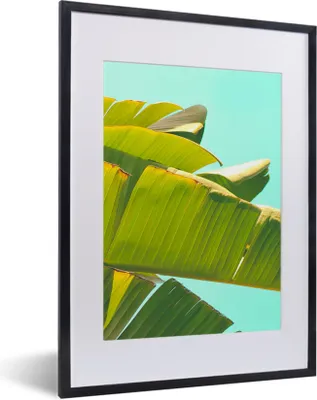 Produktbild von MuchoWow® Gerahmtes Poster Bananenblatt - Blätter - Tropisch - Sommer 30x40 cm - Poster mit Schwarzem Bilderrahmen Wandposter Rahmen Foto Bilder - Wandposter Schlafzimmer