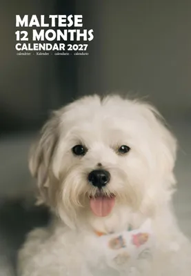 Immagine prodotto di Calendario da parete formato A3 con immagini di cani maltesi, anno 2027