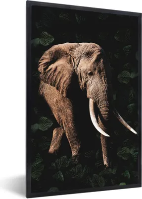 Produktbild von MuchoWow® MuchoWow® Gerahmtes Poster Elefant - Dschungel - Schwarz 60x90 cm - Poster mit zchwarzem Bilderrahmen - Kunst