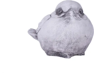 Image de Sculpture décorative de jardin Gros oiseau gris