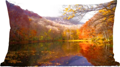 Produktbild von MuchoWow® Zierkissen Sofakissen Wohnzimmer Dekokissen 60x40 cm Natur - Wald - Herbst - Kopfkissen - Polster mit Foto