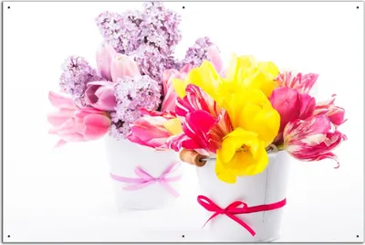 Produktbild von Wallario Outdoor-Poster für Garten oder Balkon, Motiv Zwei Blumen-Bouquets aus gelben und roten Tulpen und Flieder, in ca. 61 x 91,50 cm