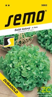 Produktbild von Samen – Blattsalat ´DUBAGOLD