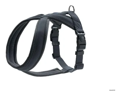 Produktbild von HUNTER Geschirr London Comfort M-L, anthrazit