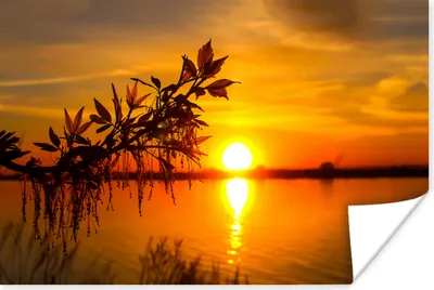 Produktbild von MuchoWow® Poster Sonnenuntergang - Wasser - Pflanzen - Orange 180x120 cm - Fotoplakat