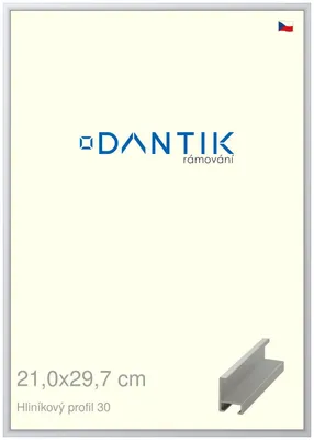Zdjęcie produktu dla Rama DANTIK 21x29,7 | Profil ALU 6030 Srebrny mat (szkło przezroczyste)