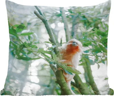 Produktbild von MuchoWow® Zierkissen Sofakissen Wohnzimmer Dekokissen 45x45 cm Zwergseidenäffchen im Baum - Schlafpolster - Polster für das Sofa