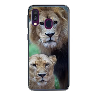 Produktbild von MuchoWow® Handyhülle Schutzhülle Hülle für Samsung Galaxy A40 Porträt - Löwe Silikon Softcase Handy Hülle - Handy-Tasche