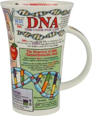 Obrázek produktu pro Hrnek Glencoe, „DNA“