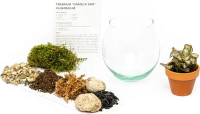 Obrázek produktu pro Gardners Skleněná váza boule OSÁZEJ SI SÁM vlhkomilně, S
