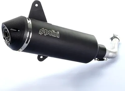 Produktbild von POLINI Auspuff genehmigt für VESPA 300 GTS/GTV E4