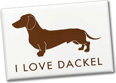 Produktbild von I LOVE DACKEL Souvenir Souvenir Magnet