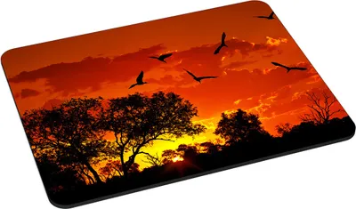 Produktbild von PEDEA Gaming Office Mauspad L african sunset