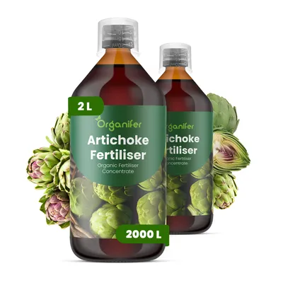 Produktbild von Artischocken Flüssigdünger 2x1L – 2-1-8 NPK – Flüssigdünger Für Gemüse & Pflanzen – Für Kräftiges Wachstum & Große Knospen – Organifer