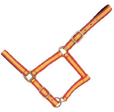 Immagine prodotto di Hispano Hipica Cavezza doppia in nylon senza moschettone Giallo Cob Giallo Cob