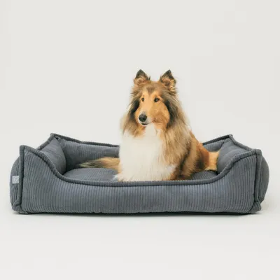 Produktbild von 4L Textil HUGO Orthopädisches Hundebett aus Cord Premium-LINE Hundekorb mit Bezug (80x60 cm, Dunkelgrau)