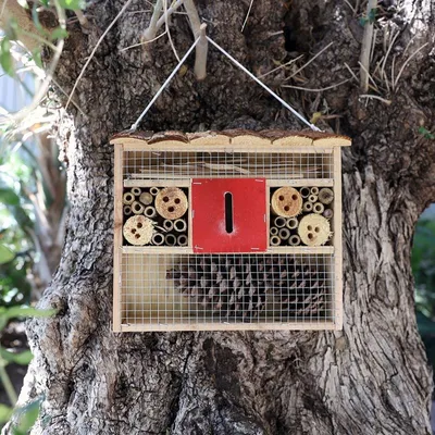 Produktbild von Insektenhotel mit Fichtenholzdach 29x27x10cm Insektenhaus Niströhren Insekten