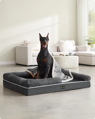 Produktbild von Feandrea Orthopädisches Hundebett, Hundekissen, Hundekorb, weiche Polsterung, Hundesofa, erhöhte Ränder, Bezug abnehmbar und waschbar
