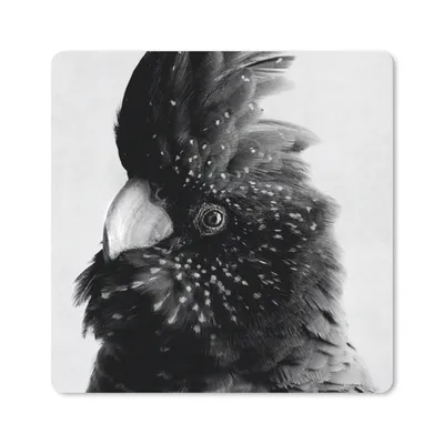 Produktbild von MuchoWow® Mauspad Mousepad Nahaufnahme eines Kakadus vor einem grauen Hintergrund - schwarz und weiß 30x30 cm - Mousepads - Maus Mat - Pad - Mausunterlage - Gaming