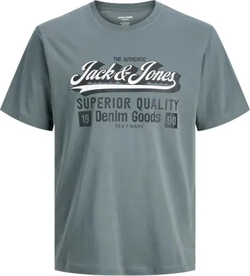 Produktbild von Jack & Jones Logo 2 Col Kurzarm-t-shirt Grau 14 Years Jungen Grau 14 Years