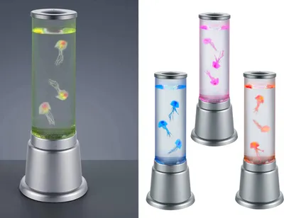 Produktbild von TRIO JELLY, Titan, Kunststoff, IP20, II, 1 Glühbirne(n), 6 W