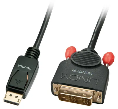 Image de LINDY DisplayPort an DVI-D Kabel 0.5m