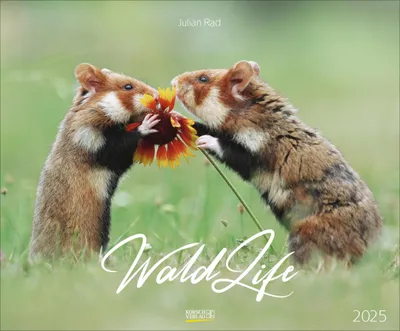 Produktbild von WaldLife 2025