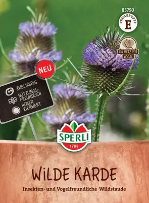 Produktbild von SPERLI Samen Wilde Karde Dipsacus fullonum 50 Pflanzen