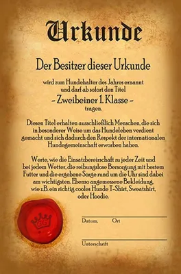 Produktbild von vianmo Holzschild 30x20 cm Urkunde Zweibeiner 1. Klasse
