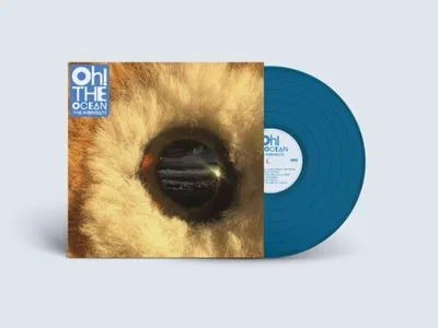 Obrázek produktu pro The Wombats: The Wombats: (Transparent Blue Vinyl) - - (LP / O)