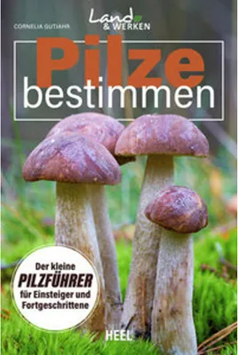 Immagine prodotto di Pilze bestimmen - Der kleine Pilzführer für Einsteiger und Fortgeschrittene