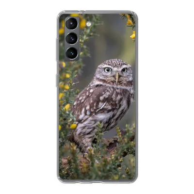 Produktbild von MuchoWow® Handyhülle Schutzhülle Hülle für Samsung Galaxy S21 Eine kleine braune Eule sitzt da und starrt nach vorne Silikon Softcase Handy Hülle - Softcase