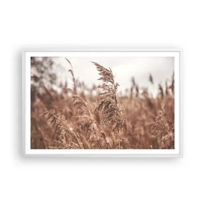 Produktbild von Gerahmtes Poster - Weißer Rahmen - Zuckerrohr Wiese Boho - 91,5x61 cm - Wand Bild - Wanddeko - Wandbilder - Kunstposter - Wandposter - Bilderrahmen - Bilder - Kunstdruck - P2WAA91x61-4709