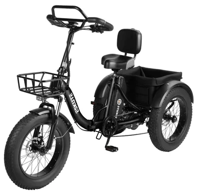 Image de ESKUTE T302 Pro Vélo électrique 250W Moteur 48V 20.8Ah Batterie 20" - Noir