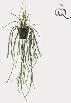 Produktbild von Kunstcactus - Rhypsalis - Koraalkaktus - 85 cm