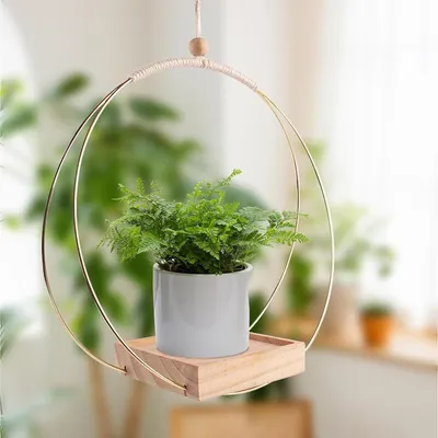 Obrázek produktu pro LIUYIDM Závěsný květinový koš do interiéru, kovový závěsný květinový koš, 30 x 30 cm, zlatá barva, závěsný květináč do exteriéru, závěsný květináč na rostliny, vhodný na stěny/okna/stropy (bez květináčů a rostlin)
