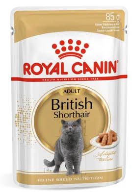 Produktbild von Royal Canin British Shorthair Adult, Adult, Britisch Kurzhaar, 85 g